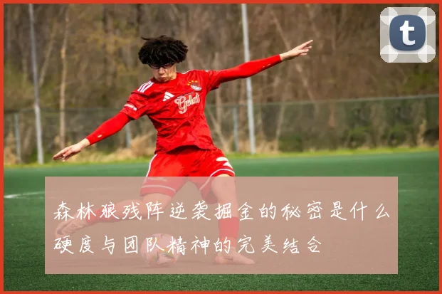 森林狼残阵逆袭掘金的秘密是什么硬度与团队精神的完美结合